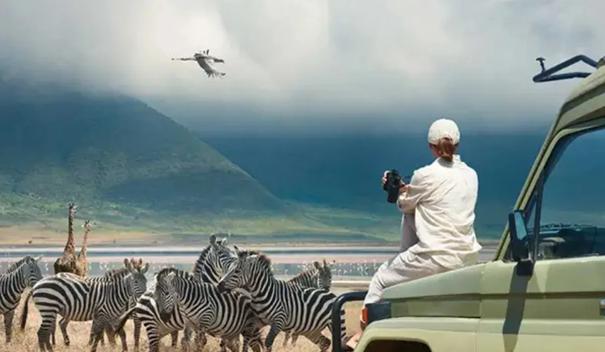 You are currently viewing 🎒 What to Pack for a Safari in Tanzania: The Ultimate Checklist