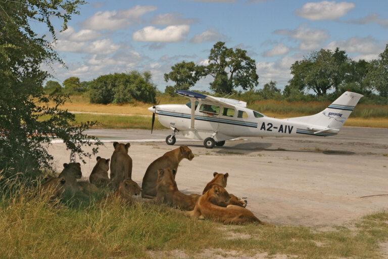 6-Day Fly-in Safari from Zanzibar: Tarangire, Serengeti and Ngorongoro Crater