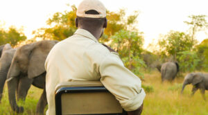 Serengeti Insider Safaris conservation and community projects in Tanzania