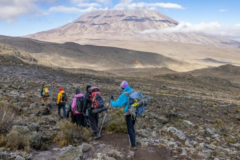 Northern Circuit 10-Day Kilimanjaro Trekking