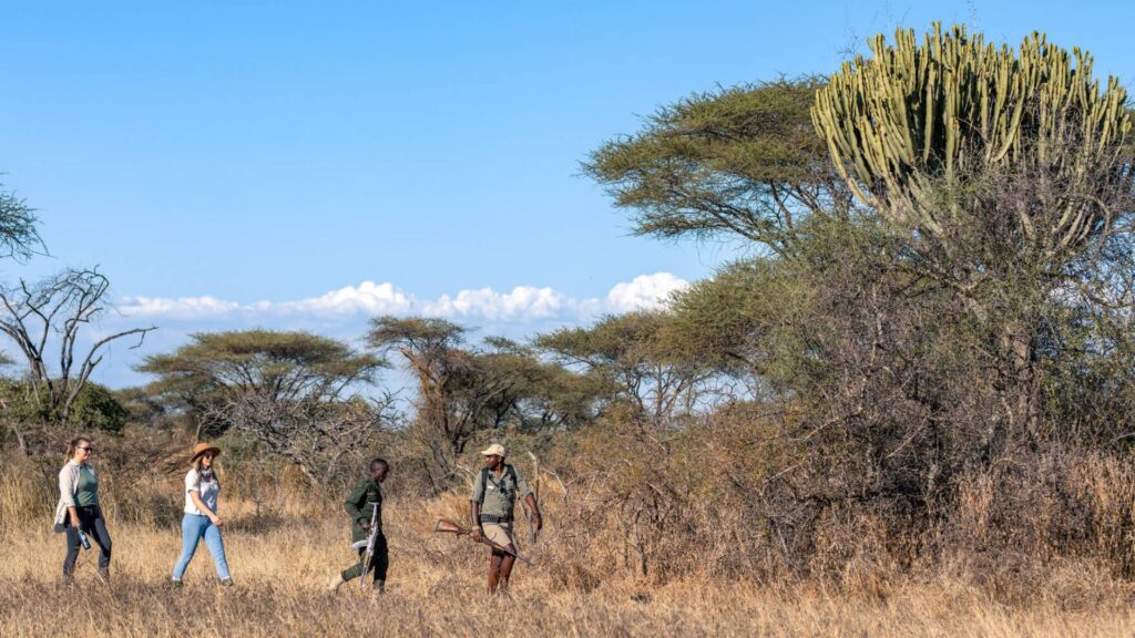 Tanzania Walking Safari — Tanzania safari image