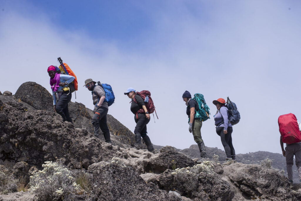 Rongai Route 6-Day Kilimanjaro Climb