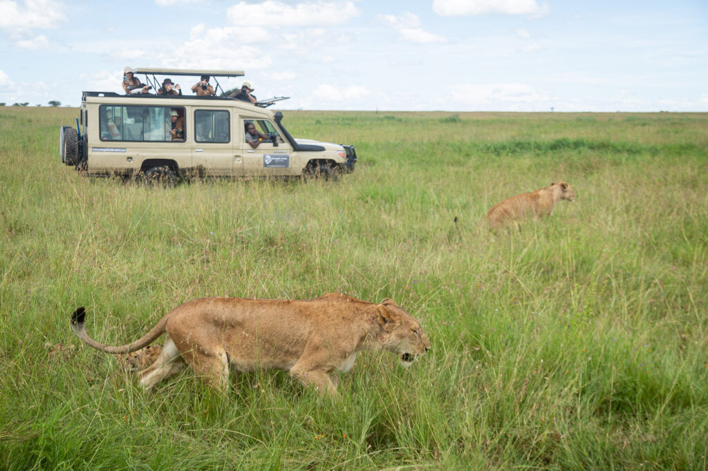 4-Day Tanzania Safari with Materuni Waterfalls and Coffee