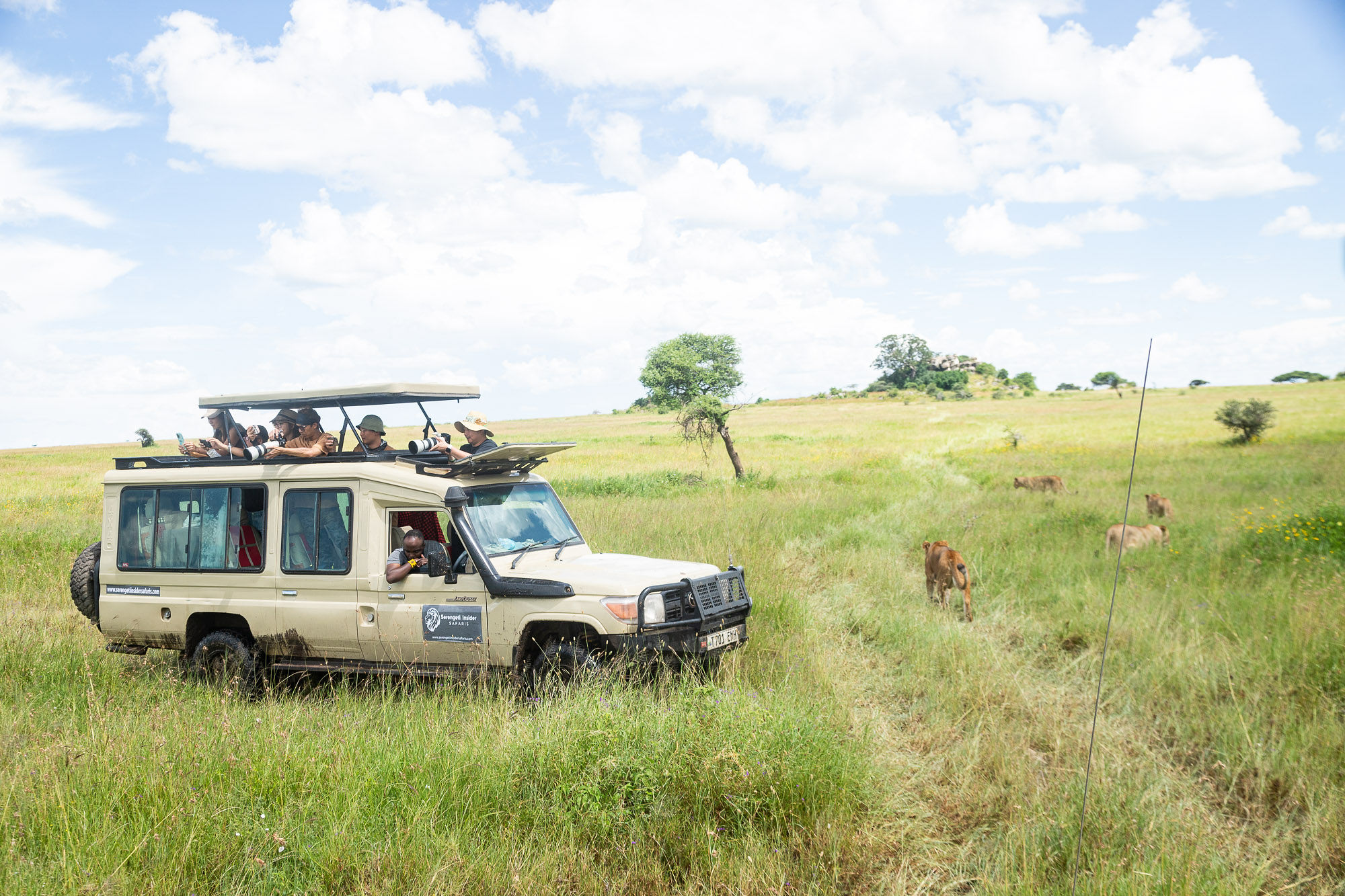 Safari Experiences