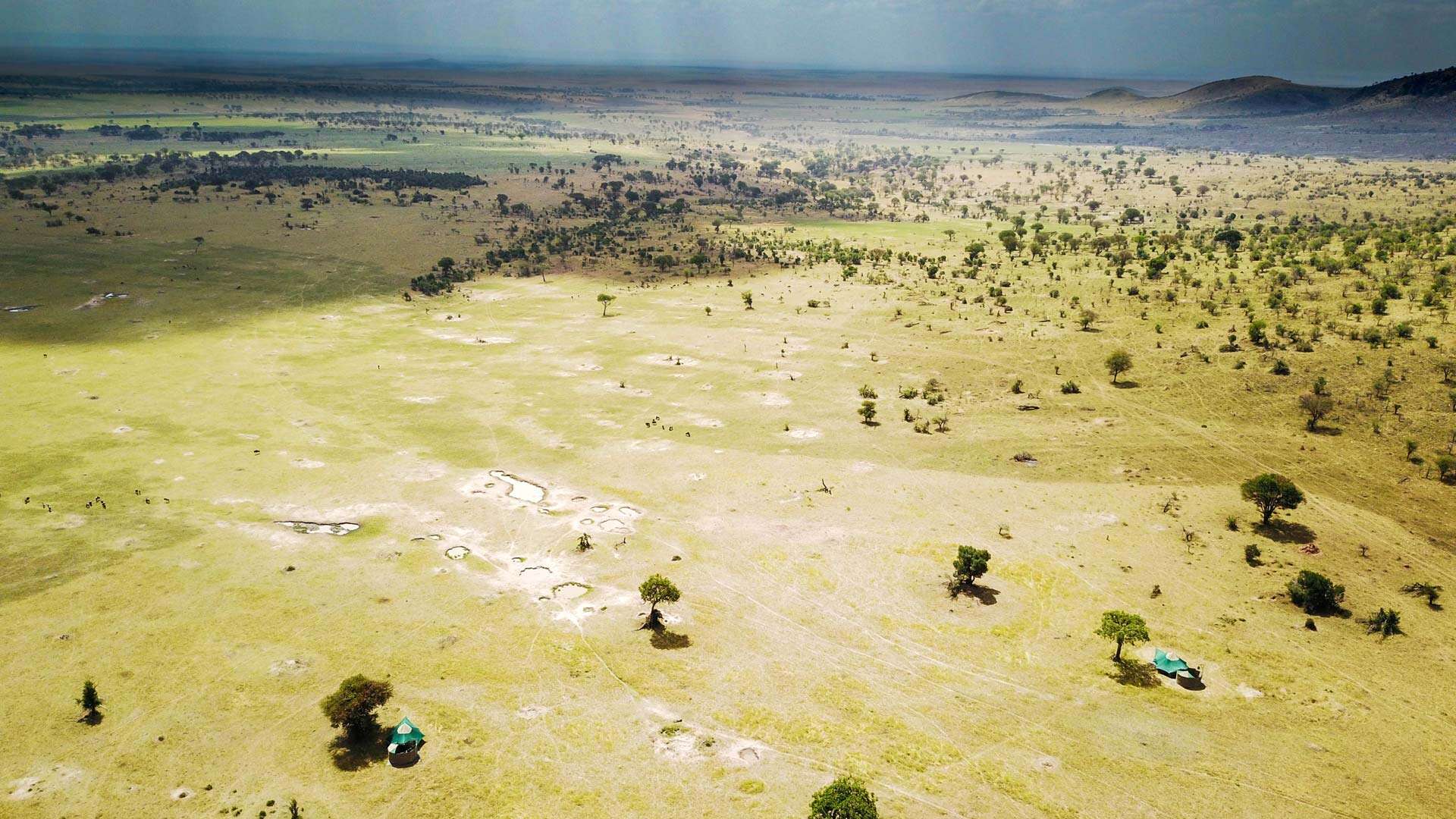 Luxury Lodge Safaris — Tanzania safari image