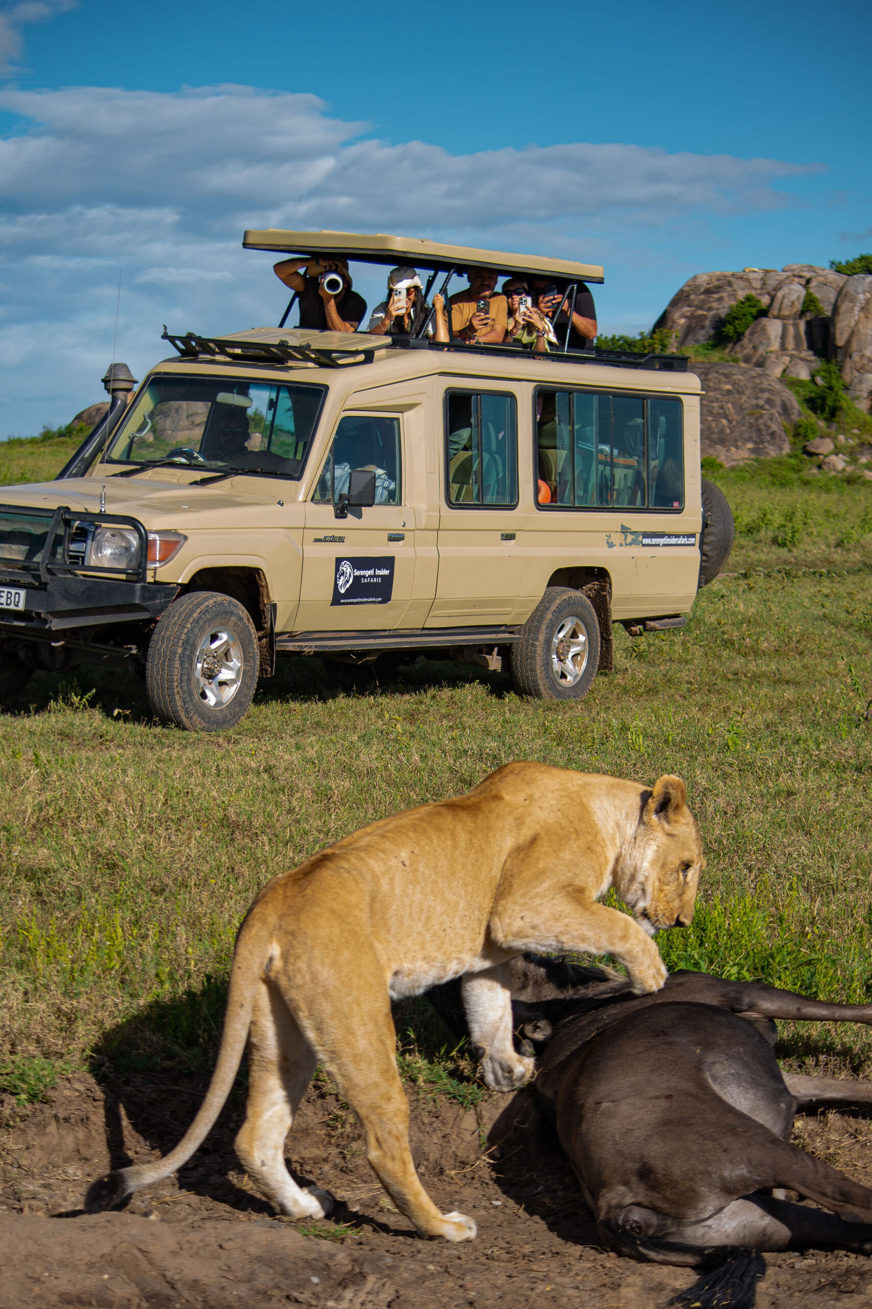 Tanzania Safaris