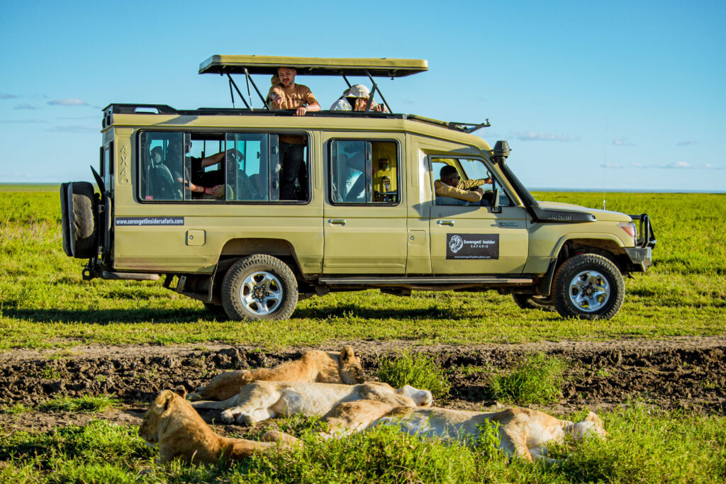Lake Manyara National Park Day Trip