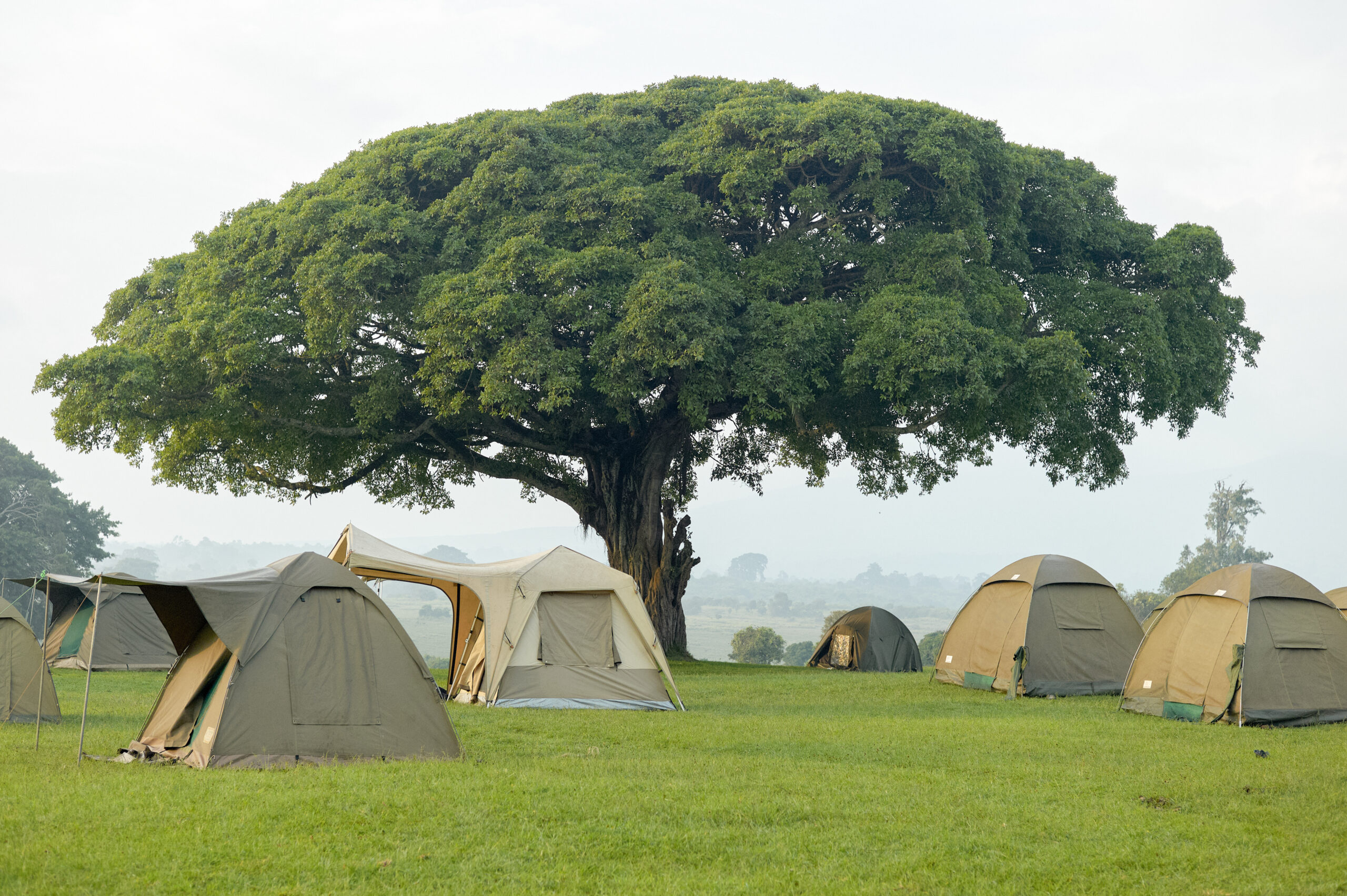 Mobile & Camping Safaris — Tanzania safari image