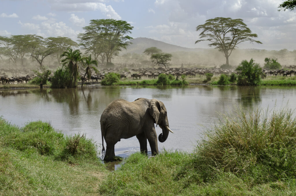 3-Day Budget Group Safari: Tarangire, Ngorongoro Crater and Kilimanjaro