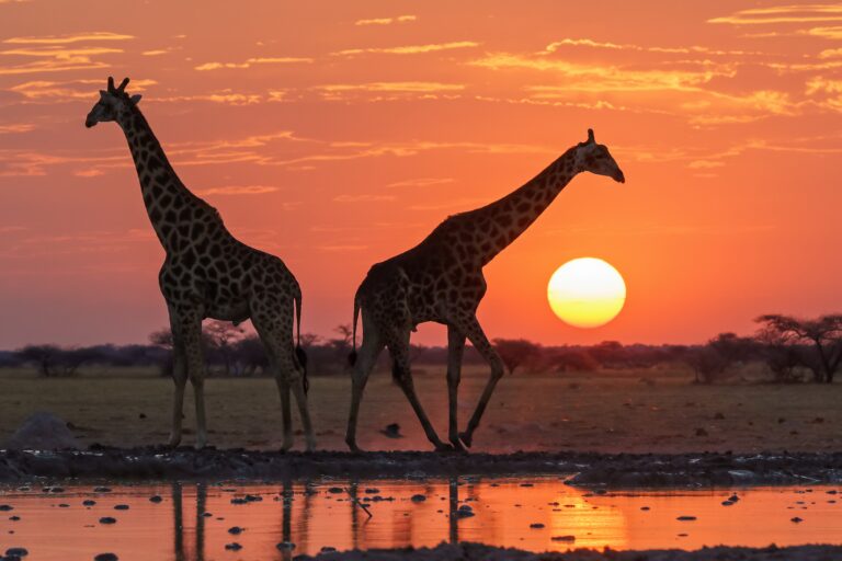 2-Day Private Lodge Safari: Tarangire and Ngorongoro Crater