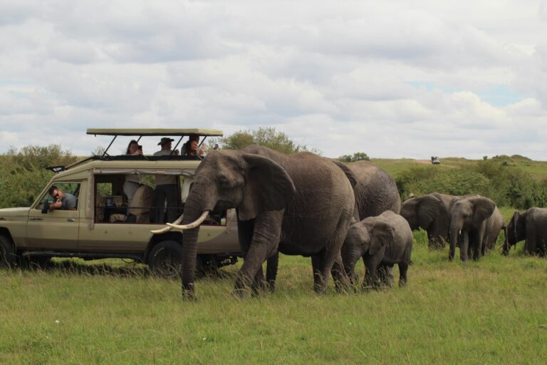 4-Day Budget Group Safari: Serengeti, Ngorongoro Crater and Kilimanjaro Day Hiking