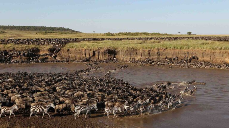 6-Day Private Luxury Safari: Tarangire, Serengeti and Ngorongoro Crater