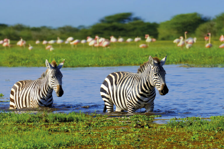 4-Day Budget Group Safari: Tarangire, Serengeti and Ngorongoro Crater