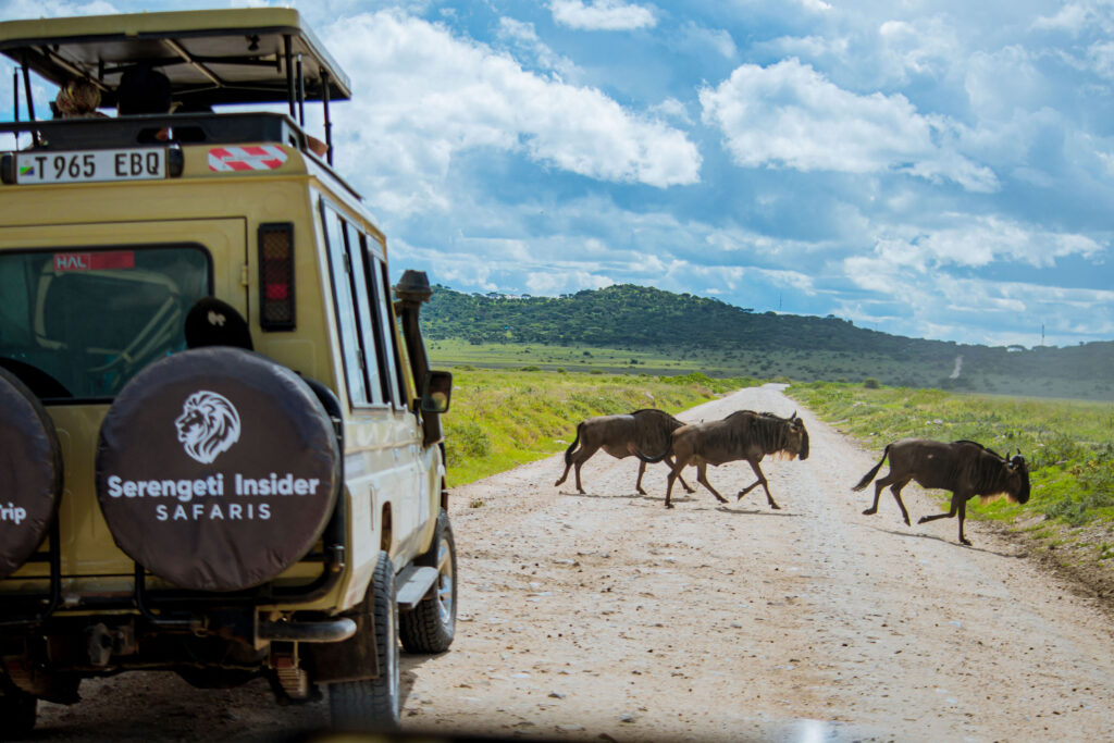 5-Day Private Camping Safari: Tarangire, Serengeti, Lake Manyara and Ngorongoro Crater