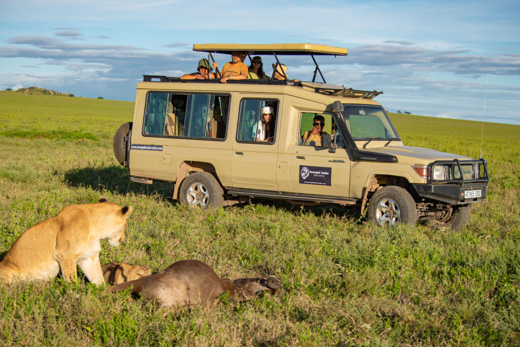 7-Day Private Lodge Safari: Tarangire, Serengeti, Lake Manyara and Ngorongoro Crater