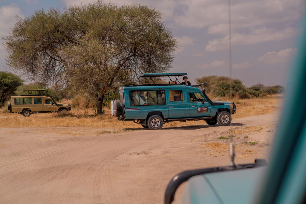 6-Day Private Luxury Safari: Tarangire, Serengeti, Lake Manyara and Ngorongoro Crater