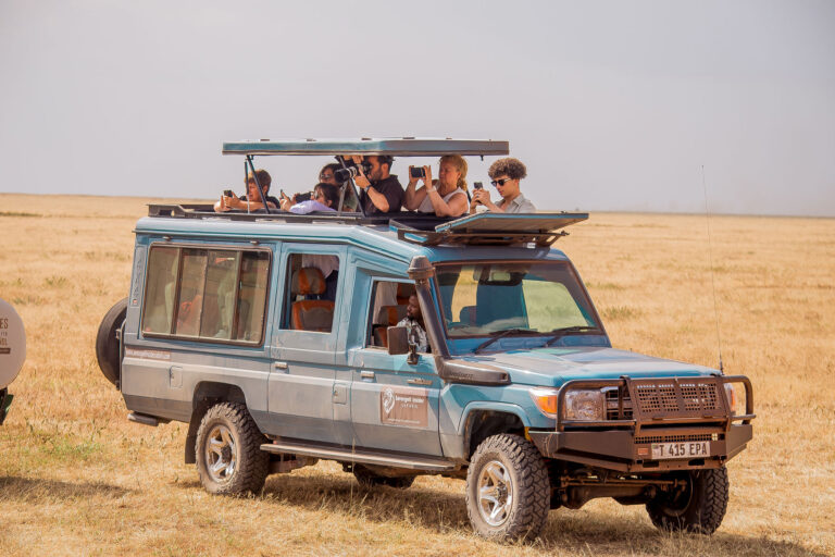 3-Day Tanzania Group Safari: Big Wildlife Adventures on a Budget
