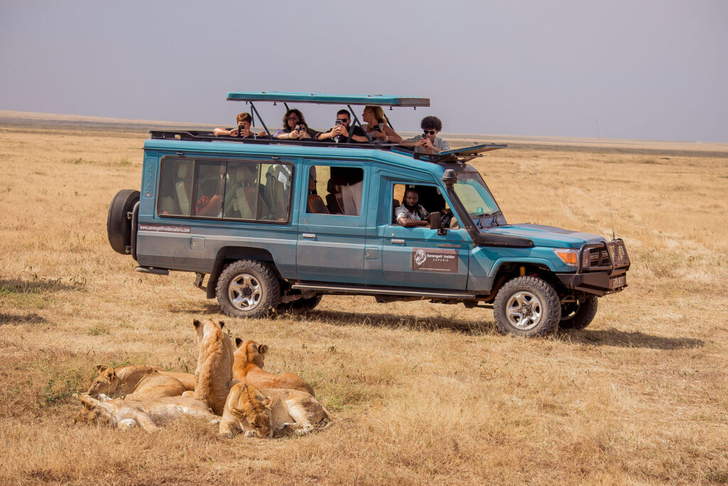 8-Day Wildlife Photography Safari: Tarangire, Serengeti, Lake Manyara and Ngorongoro Crater