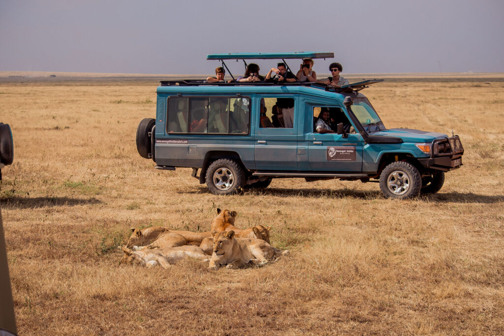 4-Day Tanzania Safari with Materuni Waterfalls and Coffee