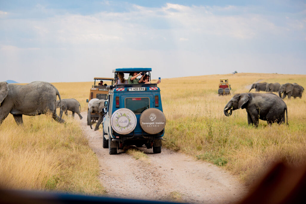 6-Day Fly-in Budget Safari from Zanzibar: Tarangire, Serengeti, Lake Manyara and Ngorongoro Crater
