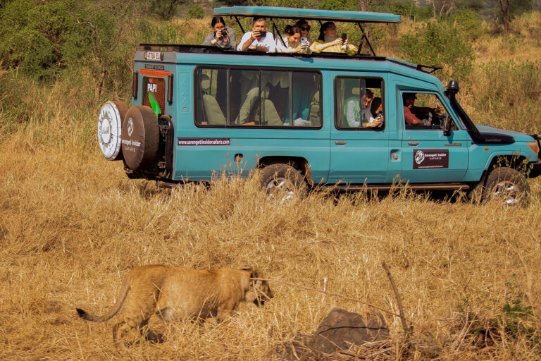 Top 10 Animals You Must See on a Tanzania Safari