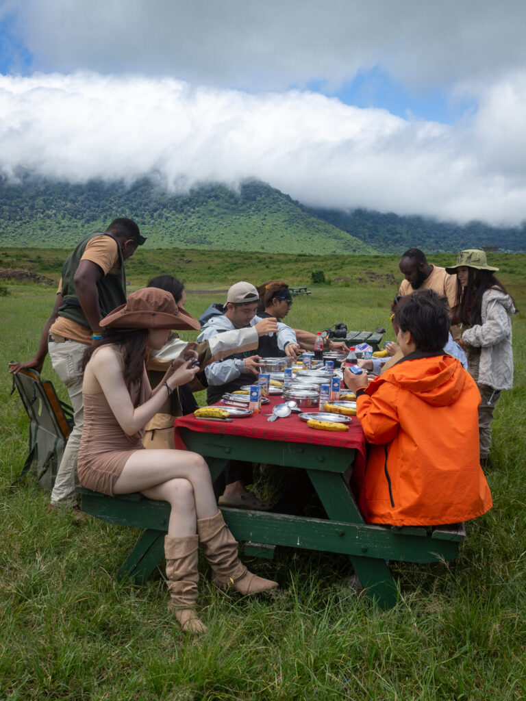 4-Day Private Mid-Range Safari: Tarangire, Lake Manyara and Ngorongoro Crater