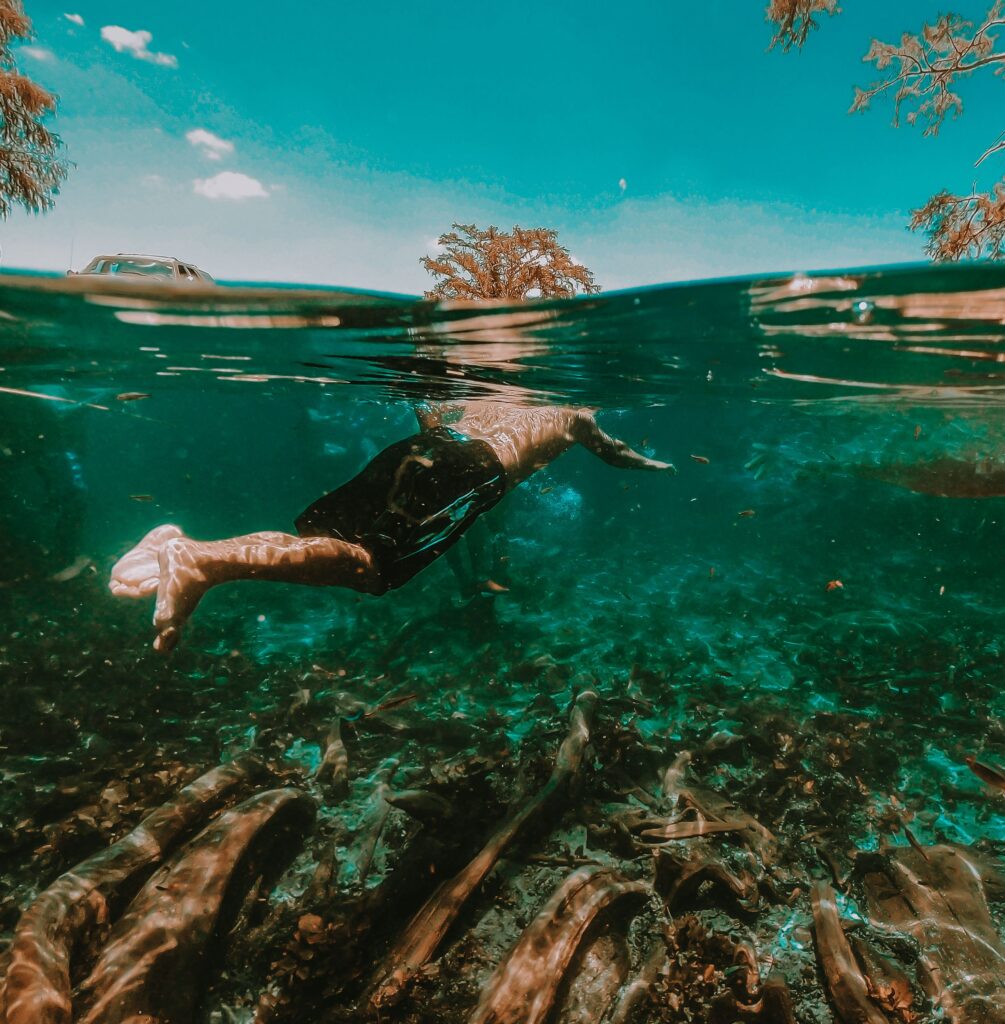 Kikuletwa Hot Springs Day Trip