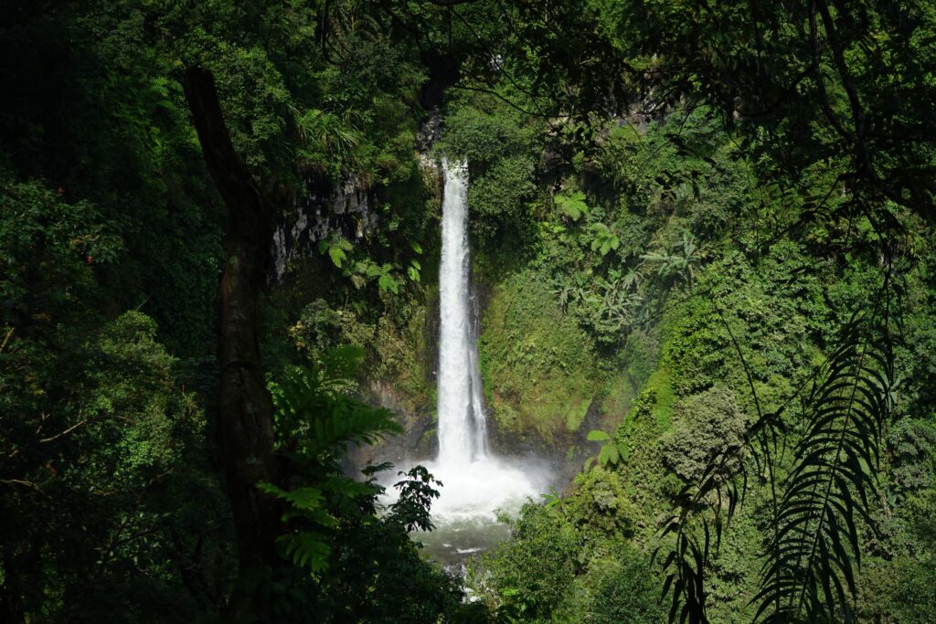 Mount Meru Waterfalls and Lake Duluti Day Trip